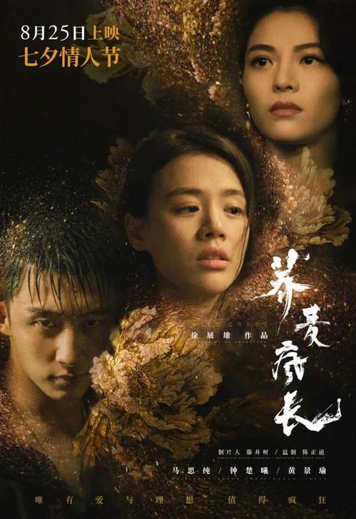 圣十字学院教育部留服认证